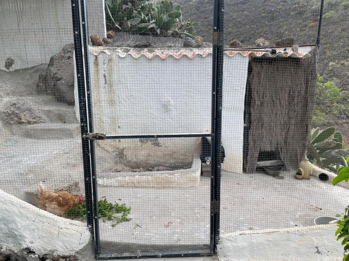 Casa Niagara Villa El Jaral Dış mekan fotoğraf