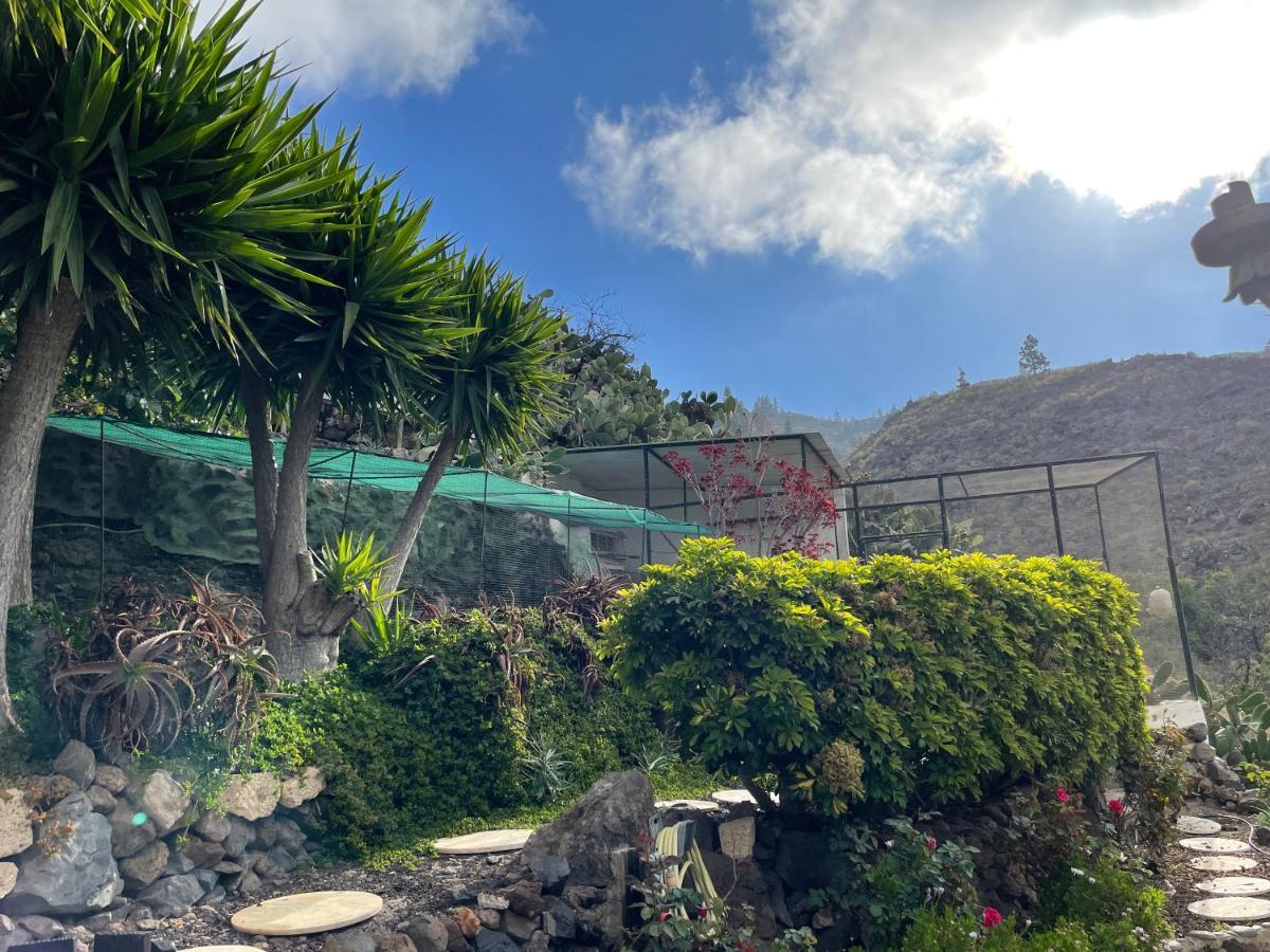 Casa Niagara Villa El Jaral Dış mekan fotoğraf